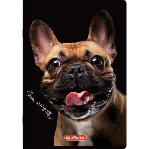 Herlitz Zeszyt Herlitz Crazy Animal A5 60k. 70g linia (400196838) Herlitz Zeszyt Herlitz Crazy Animal A5 60k. 70g linia (400196838)