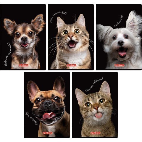 Herlitz Zeszyt Crazy Animal A5 80k. 70g krata Herlitz (400196839)