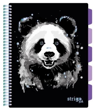 Strigo Kołozeszyt (kołobrulion) Strigo PANDA A4 100k. 80g krata (PADS021)