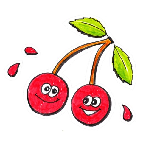 Faber Castell Cienkopisy Faber-Castell Grip Finepen 0,4 10 kolorów (FC151610)