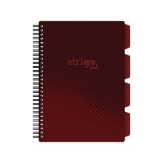 Strigo Kołozeszyt (kołobrulion) Strigo BASIC BORDOWY B5 100k. 80g krata (PADS059)