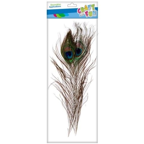 Craft with Fun Piórka Craft with Fun brązowa 2 szt (463631) Craft with Fun Piórka Craft with Fun brązowa 2 szt (463631)