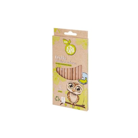 Astra Kredki akwarelowe Astra ECO z drewna cedrowego (312022050) Astra Kredki akwarelowe Astra ECO z drewna cedrowego (312022050)