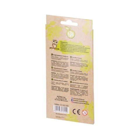 Astra Kredki akwarelowe Astra ECO z drewna cedrowego (312022050) Astra Kredki akwarelowe Astra ECO z drewna cedrowego (312022050)
