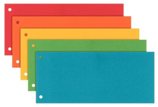 Esselte Przekładka czysta Esselte 1/3 A4 mix kolorów 180g 100k [mm:] 240x105 (624450)