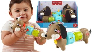 Fisher Price Zabawka edukacyjna Fisher Price jamnik aktywizujący (HTW91)