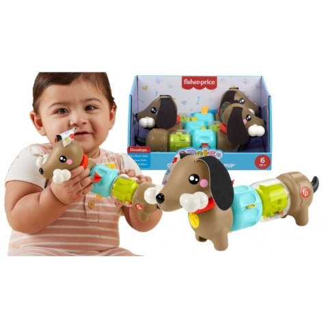 Fisher Price Zabawka edukacyjna Fisher Price jamnik aktywizujący (HTW91)