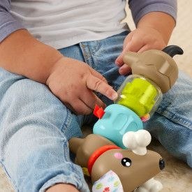 Fisher Price Zabawka edukacyjna Fisher Price jamnik aktywizujący (HTW91)