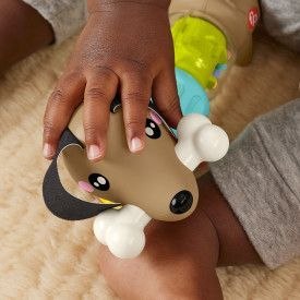 Fisher Price Zabawka edukacyjna Fisher Price jamnik aktywizujący (HTW91)