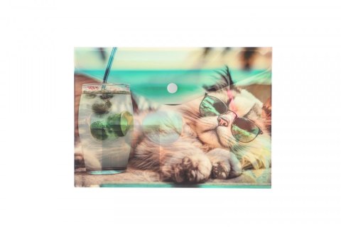 Panta Plast Teczka plastikowa na guzik CHILLOUT Cat A5 mix Panta Plast (0410-0069-54) Panta Plast Teczka plastikowa na guzik CHILLOUT Cat A5 mix Panta Plast (0410-0069-54)
