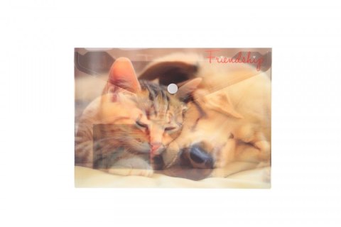 Panta Plast Teczka plastikowa na guzik FRIENDSHIP A5 mix Panta Plast (0410-0069-55)