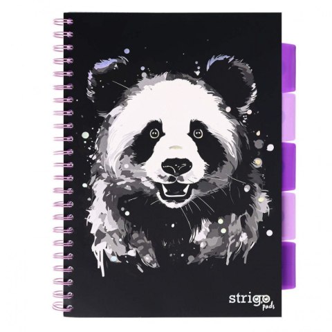 Strigo Kołozeszyt (kołobrulion) Strigo ANIMALS panda A4 100k. 80g linia (PADS093)