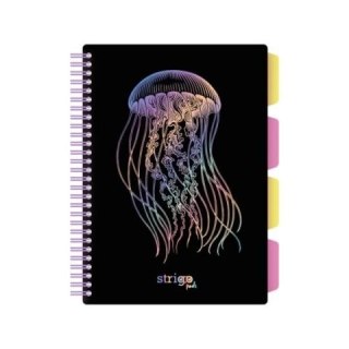 Strigo Kołozeszyt (kołobrulion) Strigo PADS GŁEBINY MEDUZA B5 100k. 80g krata (PADS062)