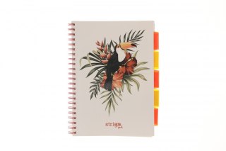 Strigo Kołozeszyt (kołobrulion) Strigo PELIKAN biały A4 100k. 80g krata (PADS061)