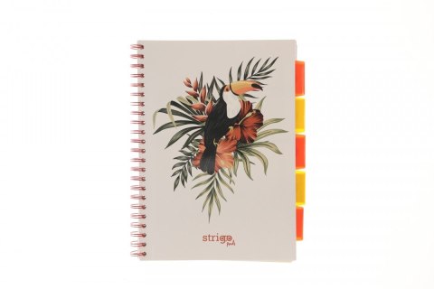 Strigo Kołozeszyt (kołobrulion) Strigo PELIKAN biały A4 100k. 80g krata (PADS061) Strigo Kołozeszyt (kołobrulion) Strigo PELIKAN biały A4 100k. 80g krata (PADS061)