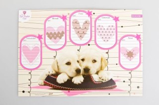 Beniamin Plan lekcji Beniamin Pet Poets Club z magnesem (600342)