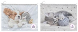 Beniamin Teczka plastikowa The Sweet Pets 9839 Beniamin