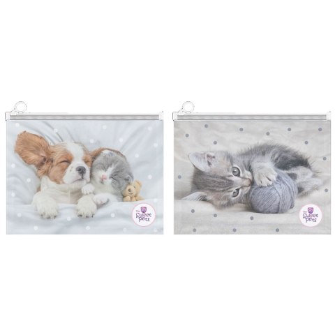 Beniamin Teczka plastikowa The Sweet Pets 9839 Beniamin