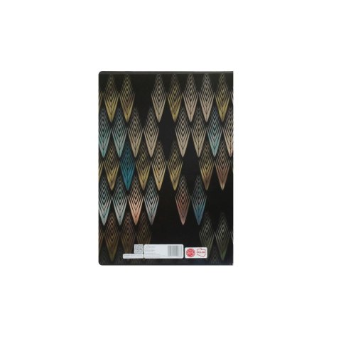 Beniamin Zeszyt metaliza Beniamin (9887)