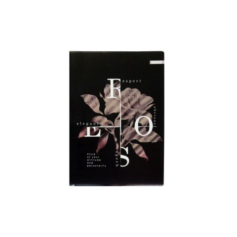 Beniamin Zeszyt metaliza Beniamin (9887)