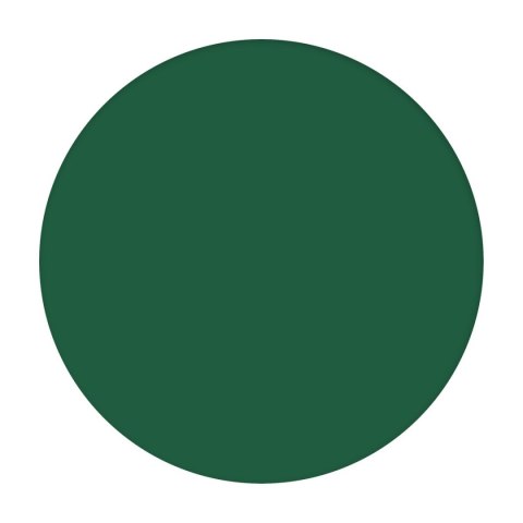 Oxford Kołozeszyt (kołonotatnik) Essentials A4 90k. 90g krata Oxford (100105406)