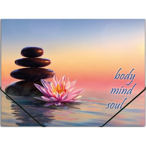 Panta Plast Segregator ringowy Zen Panta Plast (0410-0064-48)