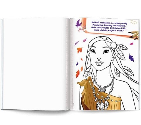 Ameet Książka dla dzieci Disney Księżniczka. Pomaluj mnie! Ameet (MAK 9101)