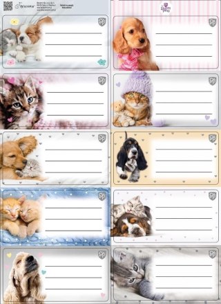 Beniamin Naklejka na zeszyt Beniamin The Sweet Pets kids