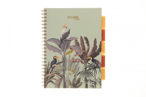 Strigo Kołozeszyt (kołonotatnik) AFRYKA pastelowy zielony A4 100k. 80g krata Strigo (PADS066)