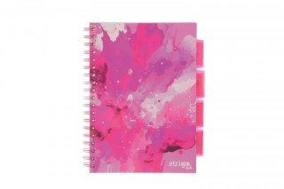 Strigo Kołozeszyt (kołonotatnik) PROJECT BOOK FUSION B5 100k. 80g krata Strigo (PADS004)