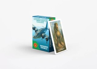 Alexander Karty Piotruś Brainrot Bombardiro Crocodillo Alexander 25 sztuk