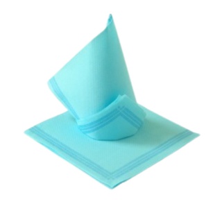 Serwetki Tendance 38x38 cm 2-warstwowe 50 sztuk błękitne