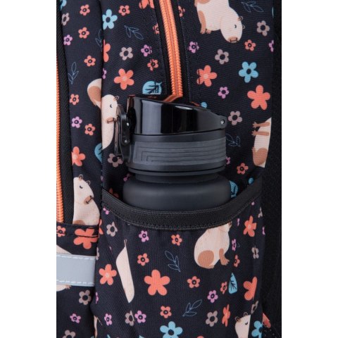 Patio Plecak Patio BASE PLUS capibara Coolpack (F029937)