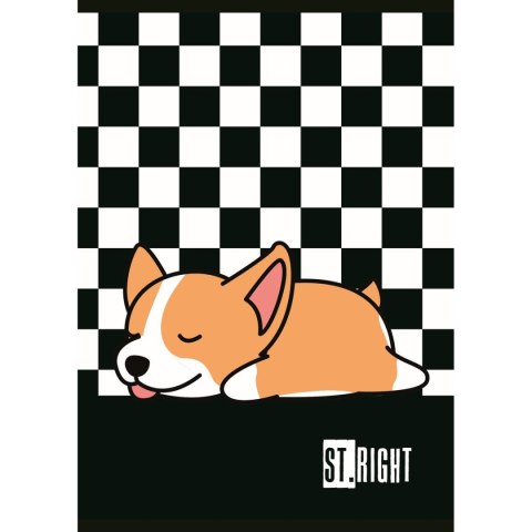 Unipap Zeszyt St.Right A5 32k. 70g krata Unipap