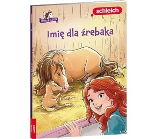 Ameet Książeczka edukacyjna Ameet HORSE CLUB. Imię dla źrebaka (LNR 8401)