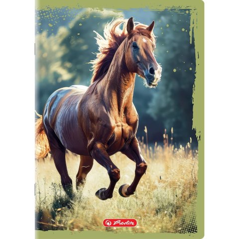 Herlitz Zeszyt Animals A5 16k. 70g gładki Herlitz (400196854)