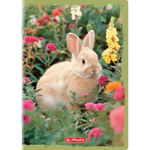 Herlitz Zeszyt Animals A5 16k. 70g gładki Herlitz (400196854)