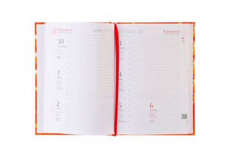 Michalczyk i Prokop Kalendarz książkowy (terminarz) A5 Michalczyk i Prokop (T-150F-01)