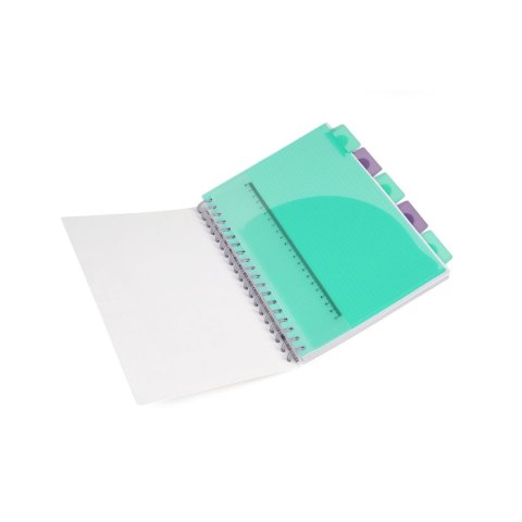 Patio Kołobrulion Disney B5 100k. 80g krata Patio (74975PTR)