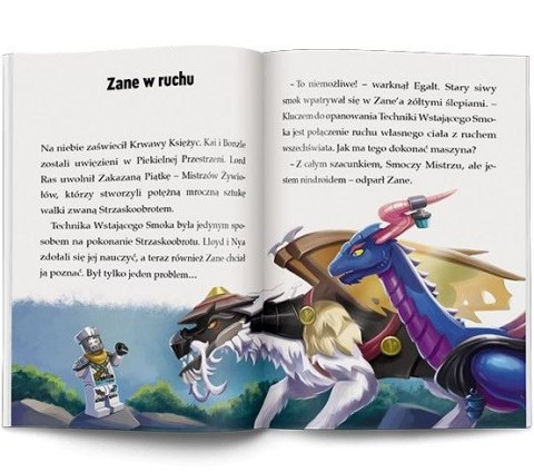 Ameet Książeczka edukacyjna Ameet LEGO® NINJAGO®. Moce i zdolności (LNR 6728)
