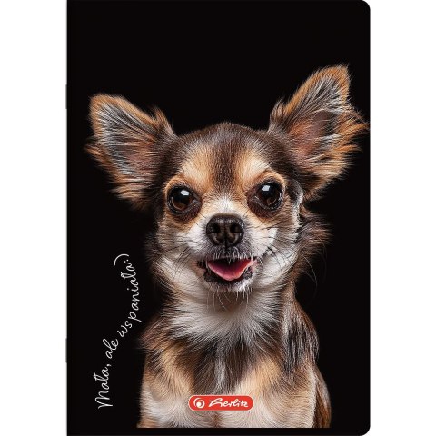 Herlitz Zeszyt Do Słówek Crazy Animal A6 32k. 70g kratka Herlitz (400196843)