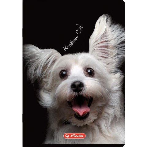 Herlitz Zeszyt Do Słówek Crazy Animal A6 32k. 70g kratka Herlitz (400196843)