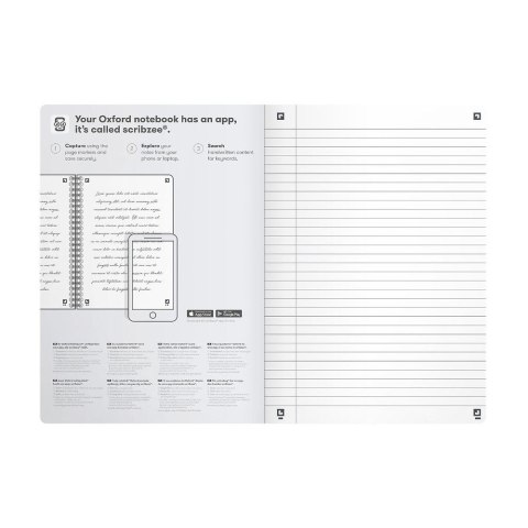 Oxford Brulion Romance B5 80k. 90g linia Oxford (400187855)