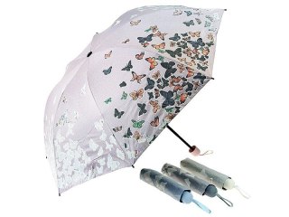 Adar Parasol dł. 65cm, śred.96cm, dł. Złożona 26cm Adar (617339)