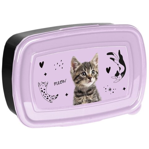 Paso Śniadaniówka Paso Kot (PP25CE-3022) Paso Śniadaniówka Paso Kot (PP25CE-3022)