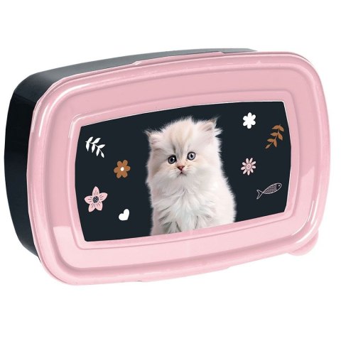 Paso Śniadaniówka Kot Paso (PP25CO-302)