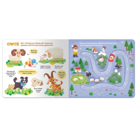 Aksjomat Książka dla dzieci Zwierzątka na wsi. Labirynty z ruchomymi elementami Aksjomat