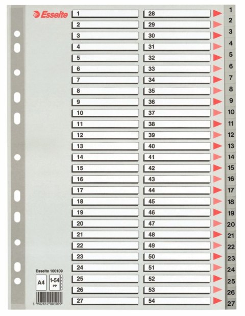 Esselte Przekładka numeryczna A4 szara 54k 1-54 Esselte (100109)