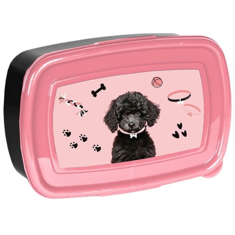 Paso Śniadaniówka Pies Paso (PP25DB-3022)