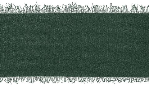 Titanum Wstążka Titanum Craft-Fun Series szyfonowa strzępiona 40x10 [mm x m] zielony butelkowy (WJ40-10-012B)